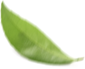 Leaflet_5_parallax